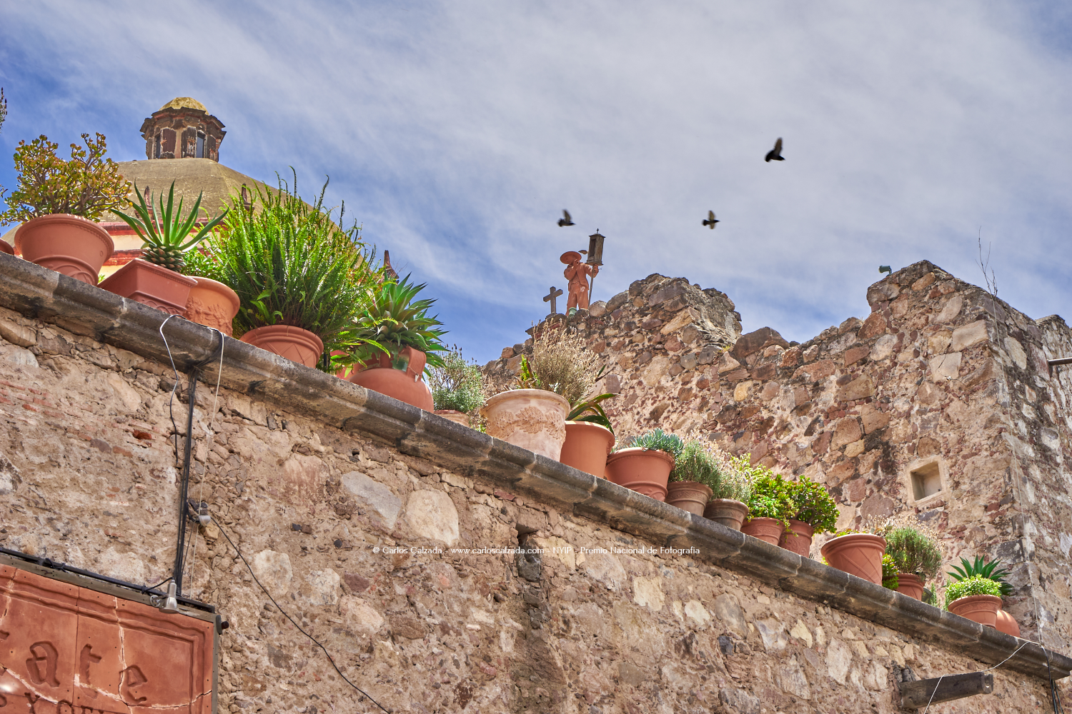 San Miguel Allende - may. 01 2016 - DSC01599.png